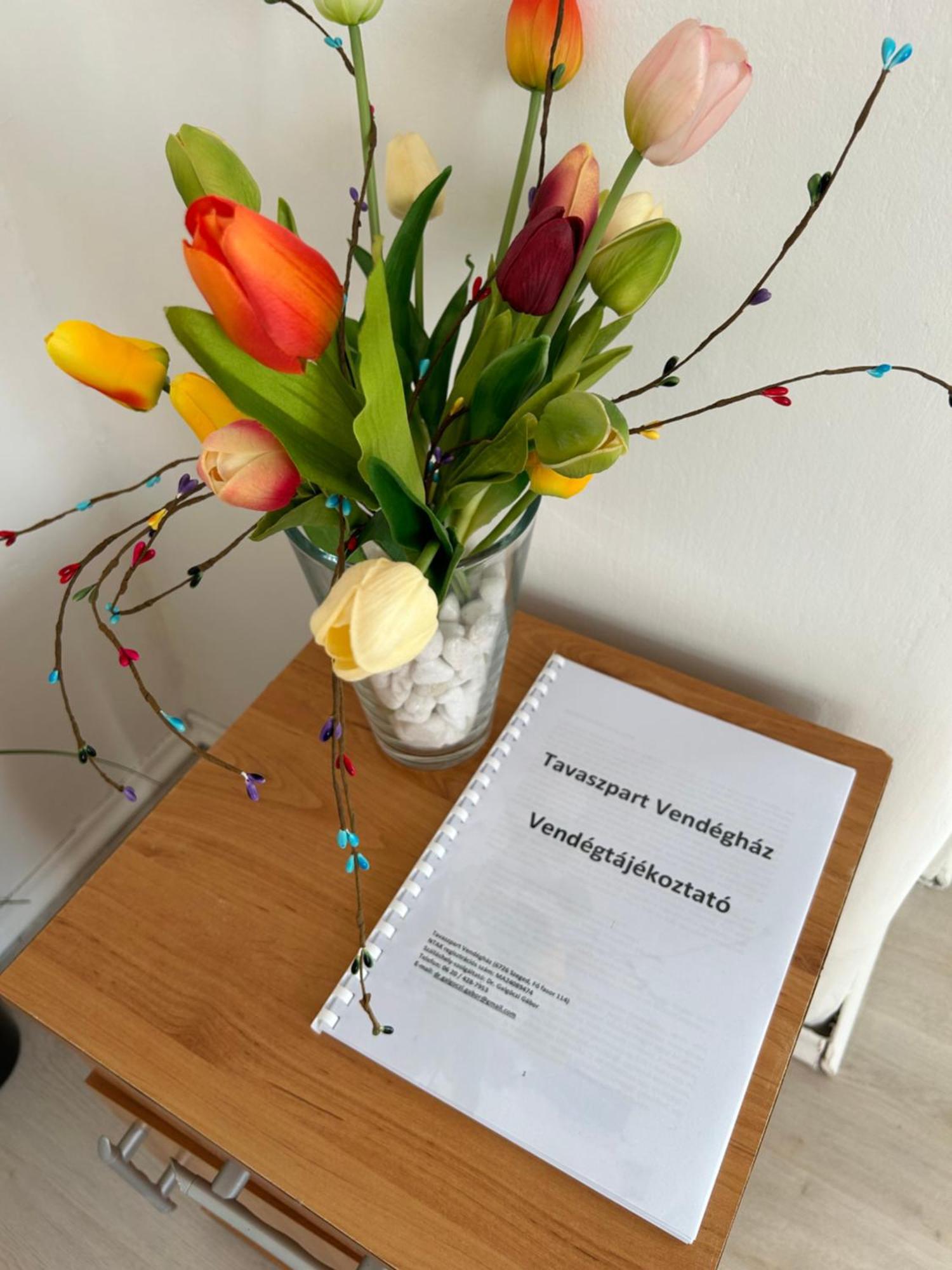 Tavaszpart Vendeghaz Apartment Szeged Bagian luar foto