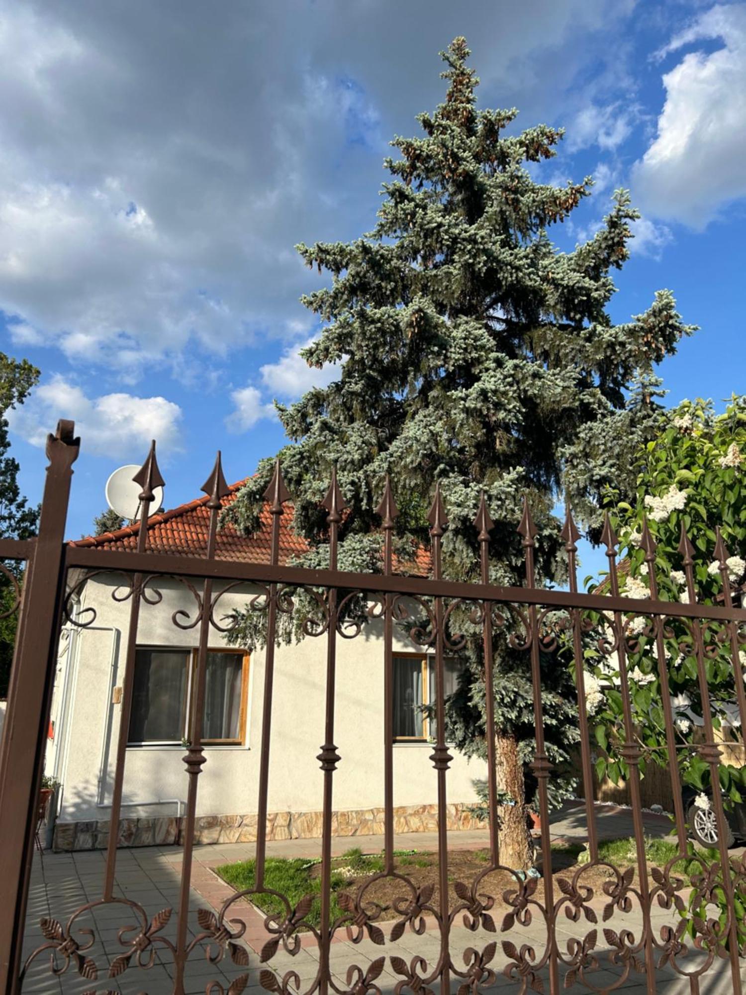 Tavaszpart Vendeghaz Apartment Szeged Bagian luar foto