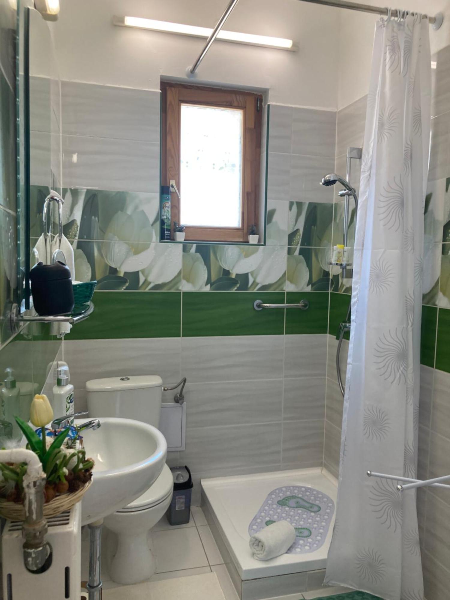 Tavaszpart Vendeghaz Apartment Szeged Bagian luar foto