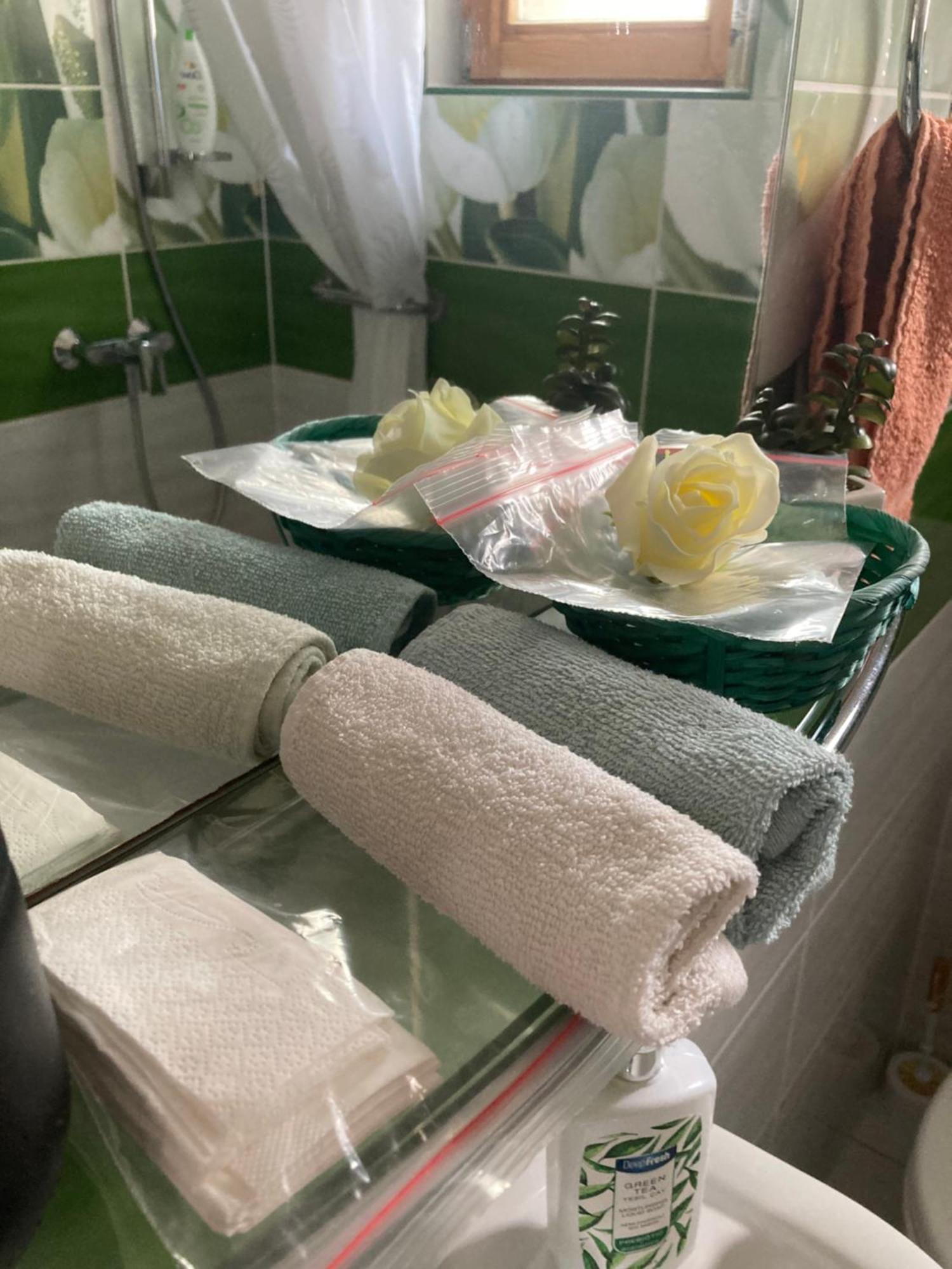 Tavaszpart Vendeghaz Apartment Szeged Bagian luar foto